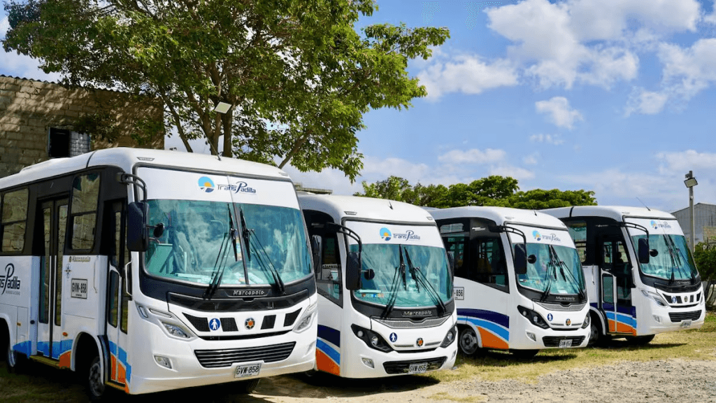TransPadilla extiende su día gratis hasta el martes: viaja sin pagar en Riohacha