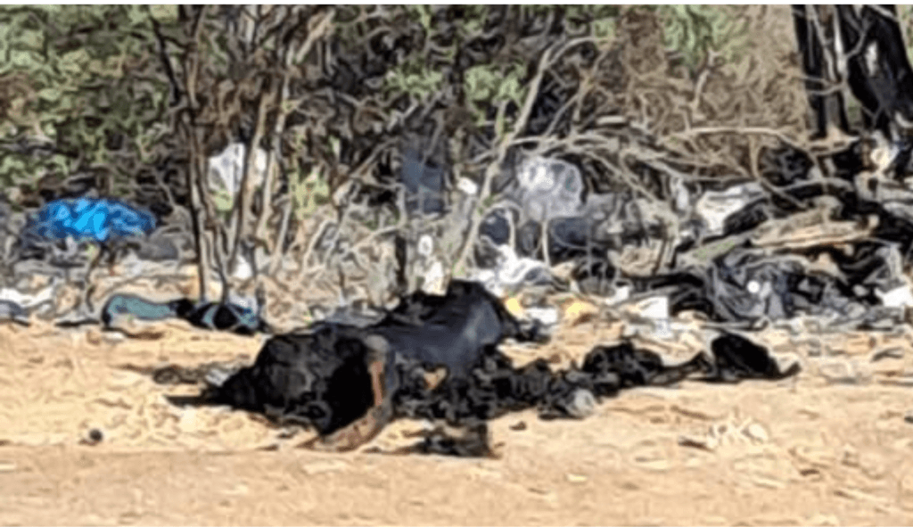 Hallan cuerpo calcinado en zona rural de Uribia, La Guajira