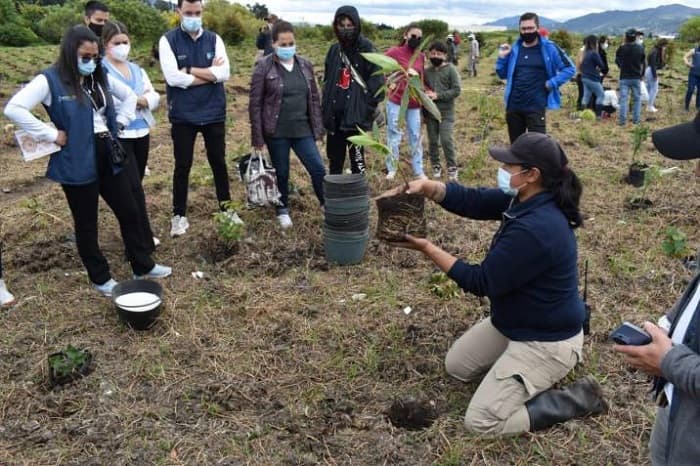 Colombia lidera ranking de asesinatos a defensores ambientales con 177 muertes en el mundo