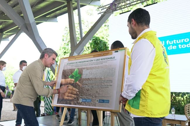 Juntas comunales sembrarán más de 3 millones de árboles en 18 departamentos con apoyo estatal