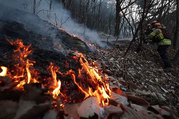 La Guajira en alerta por riesgo de incendios forestales en temporada seca