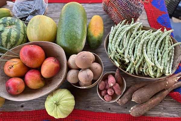 En La Guajira y otras regiones, la agricultura sostenible le está cambiando la vida a familias campesinas