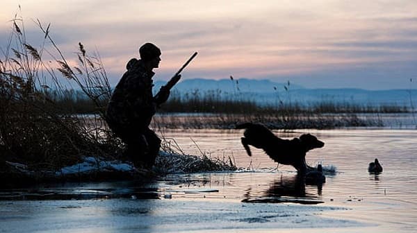 Cazador muere en Turquía tras disparo accidental de su propio perro