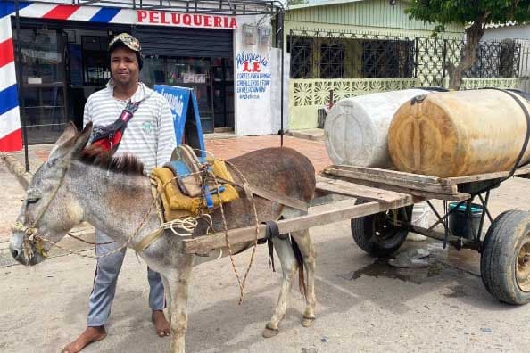 Maicao prohíbe burros y carretas en el centro: una regulación con foco en protección animal