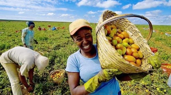 La Guajira abre convocatoria para emprendedoras rurales hasta diciembre