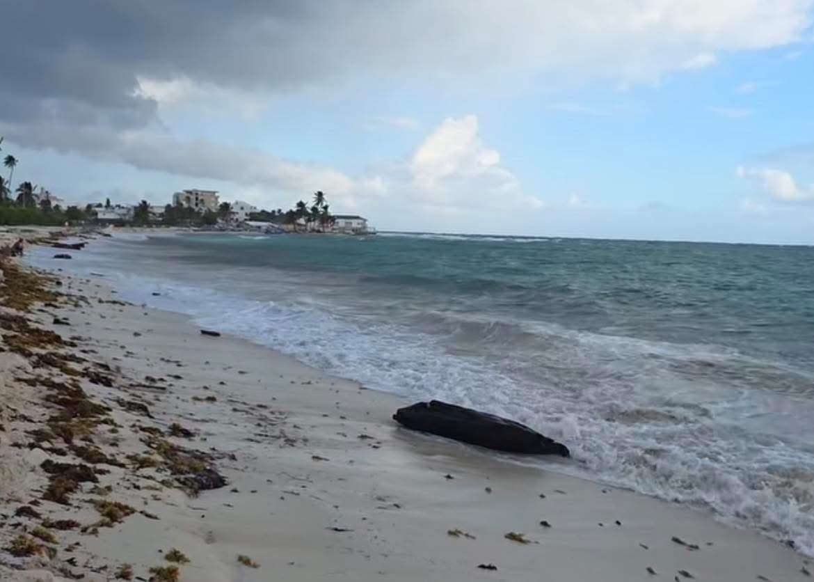 Jueves seco en el archipiélago, pero navegantes deben cuidarse del oleaje