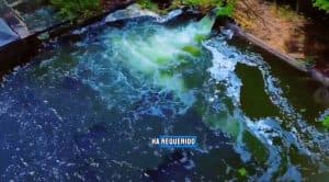 Acuacar logra avances en la lucha contra las microalgas que afectaban el agua de Cartagena