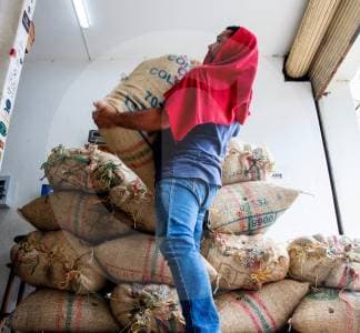El café colombiano toca fondo: carga a $2,08 millones, su precio más bajo en16 meses