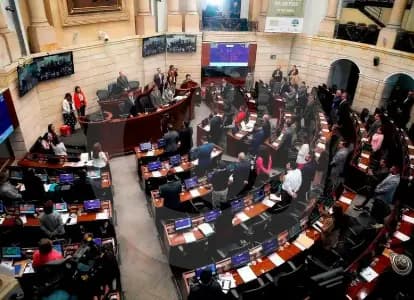 Última semana del Congreso: aprueban leyes contra ablación genital y reclutamiento de menores