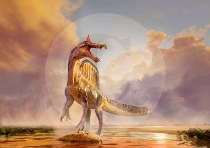 Descubren nueva especie de dinosaurio cazador de peces que vivió hace 95 millones de años en Níger