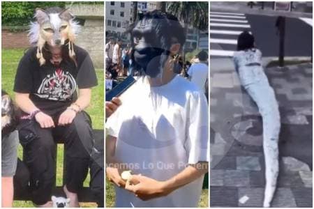 El fenómeno therian: jóvenes que se identifican con animales genera debate entre expertos sobre identidad y convivencia