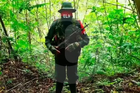 ELN anuncia tregua de tres días para segunda vuelta, pero mantiene dos fiscales secuestrados en Arauca