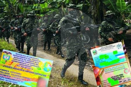 Disidencias usan juntas comunales para expedir carnés y controlar territorios en Caquetá