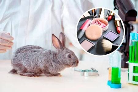 Colombia prohibe cosméticos testeados en animales: nuevas reglas para fabricantes e importadores