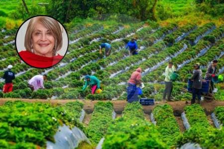 La reforma agraria de Petro: avances limitados y un proyecto clave hundido en el Congreso
