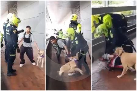 Policía justifica uso de fuerza contra músico en Parque La Colina tras quejas por ruido