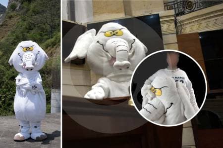 Del disfraz al Senado: la historia del "Elefante Blanco" que conquistó 120 mil votos