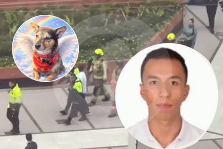 "Estaba gritando que lo iban a matar": el relato del dueño de Tonny tras lanzarlo desde piso 25