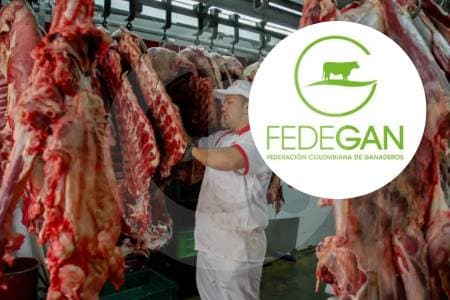 Fedegán advierte: prohibir exportaciones de ganado joven no bajará el precio de la carne en Colombia