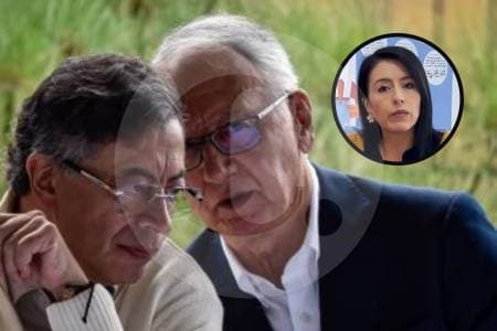 "Quieren dejar la salud lo peor posible antes de irse": alerta directora de fundación de leucemia