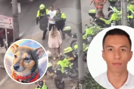 Capturan a abogado acusado de lanzar a perro desde piso 25 en Bogotá; comunidad exige justicia por Tonny