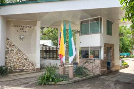 Gobierno regulará salarios de profesores universitarios tras escándalo de sueldos de 93 millones