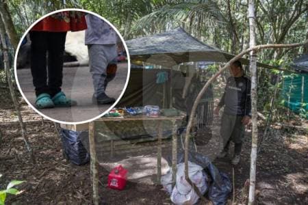 Las Farc admiten por primera vez: reclutaron más de 18.000 niños y forzaron abortos en sus filas