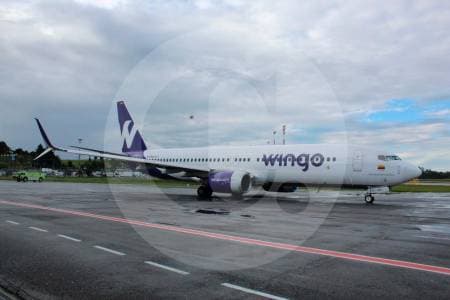 Wingo apuesta por conectar más a Colombia y Venezuela con nuevas rutas aéreas
