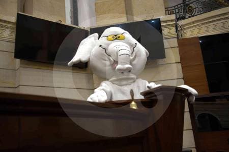 Del Elefante Blanco al Senado: la historia del ingeniero que denunció corrupción disfrazado y ganó 120.000 votos