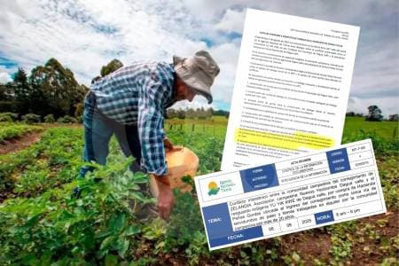 Senadora denuncia que ANT desplazaría campesinos en Valle del Cauca para entregar tierra a resguardo indígena