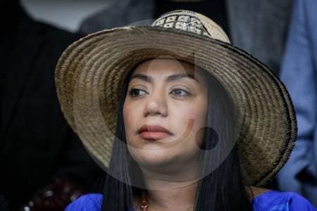 Martha Peralta reeleccionista: celebra su curul en el Senado mientras enfrenta imputación por escándalo de la UNGRD