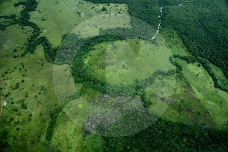 Colombia selló alianza con Alemania, Noruega y Reino Unido para frenar la deforestación hasta 2030