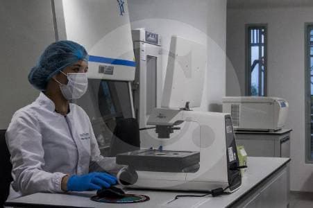 El cólera retrocede en el mundo: menos casos y muertes en comparación con el año anterior
