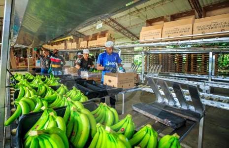 Las exportaciones colombianas arrancan 2026 con crecimiento de dos dígitos, pero el petróleo se hunde