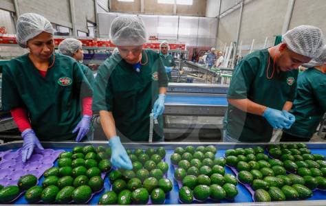 Antioquia le gana al país: su economía creció 2,8% en 2025 gracias al sector privado