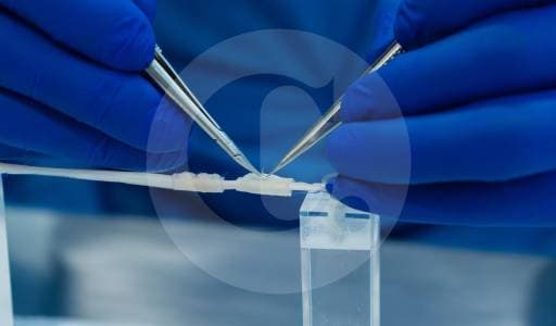 Empresas de Medellín crean tubo que regenera nervios y desaparece solo en el cuerpo