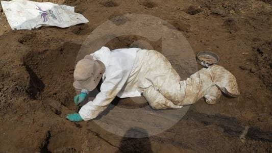 Encuentran siete cuerpos en cementerio de El Carmen de Bolívar en búsqueda de desaparecidos