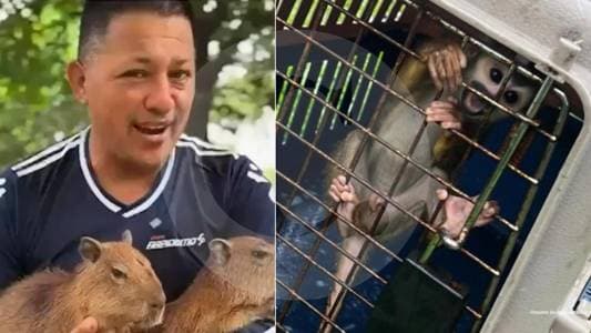 Influencer de Puerto Asís enviado a la cárcel por mantener 30 animales silvestres en condiciones deplorables