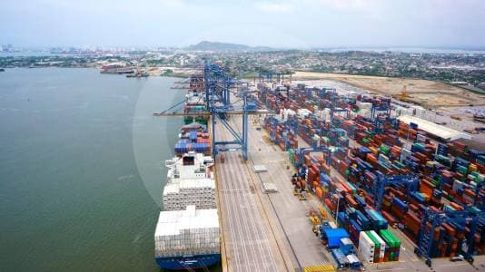 Café y aguacate se salvan del arancel de Trump, pero flores y palma enfrentan tormenta comercial