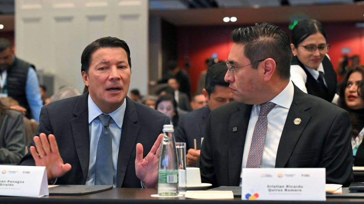 Consejo de Estado frena al CNE: no puede suspender encuestas sin sentencia firme