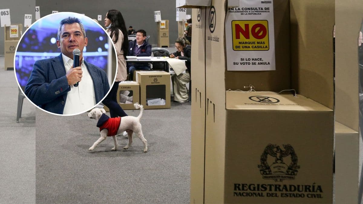 CNE garantiza transparencia en segunda vuelta electoral con mayor vigilancia de la historia