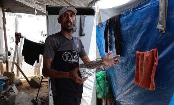 Crisis sanitaria en Gaza: plagas de ratas aterran a desplazados y amenazan salud pública