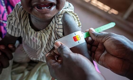 Crisis global en cuatro frentes: hambre extrema, colapso sanitario en Gaza y un El Niño amenazante