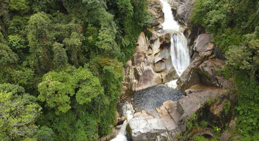 Antioquia recibe inversión de 400 millones para proteger páramos estratégicos en el Suroeste