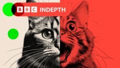 Las redes sociales se ahogan en contenido fake de IA y nadie parece importarle mucho