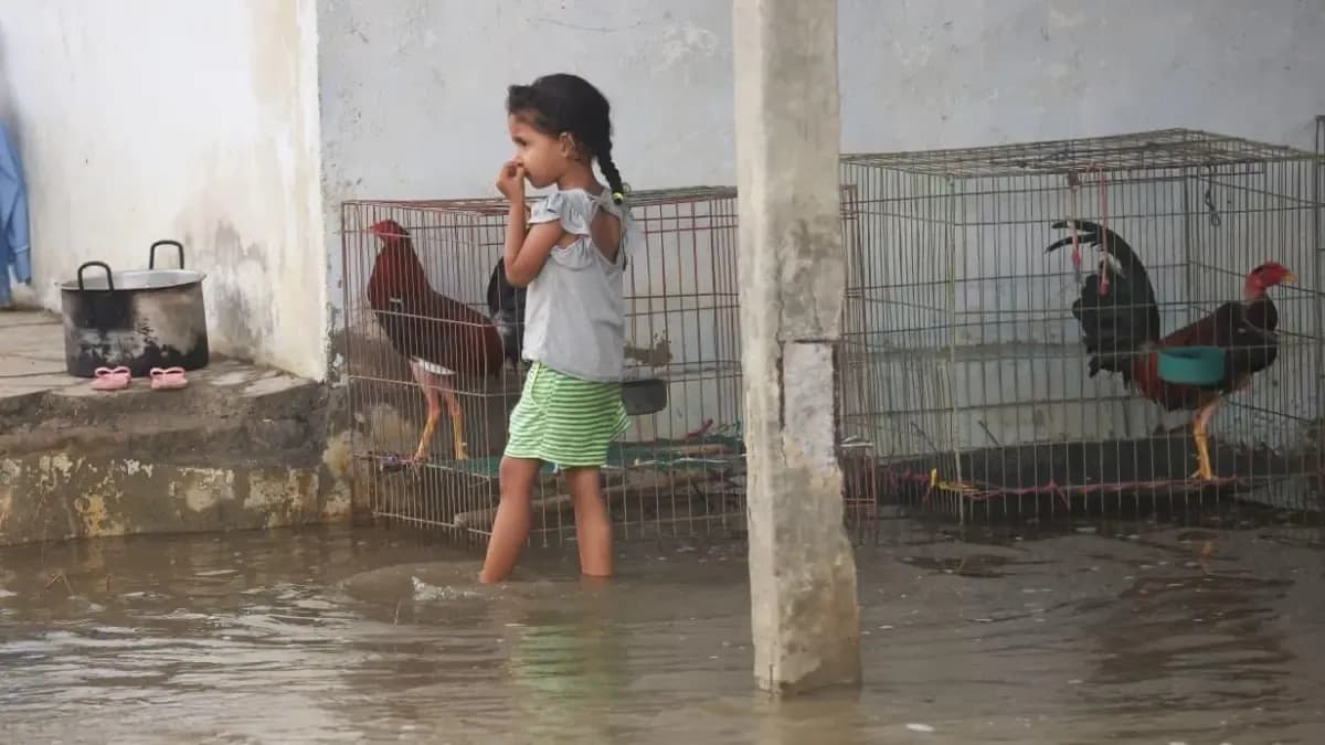 Lluvias dejan 68.000 damnificados: qué cubren realmente los seguros de vivienda y empresas