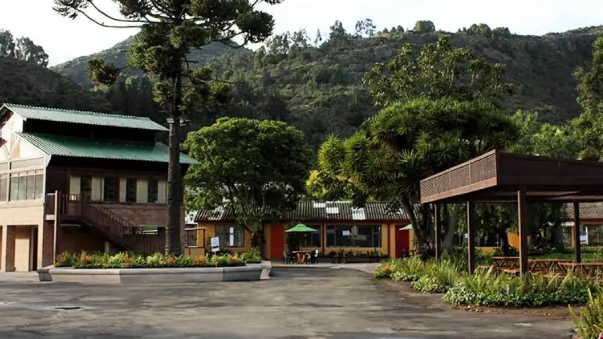 Colegio Refous entra en reorganización con deuda de casi 30 mil millones de pesos vencida