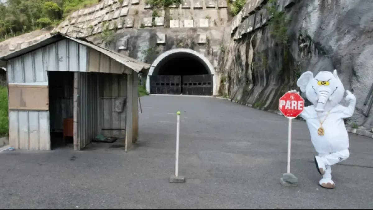 Del disfraz al Senado: cómo 'Elefante Blanco' ganó una curul denunciando obras abandonadas