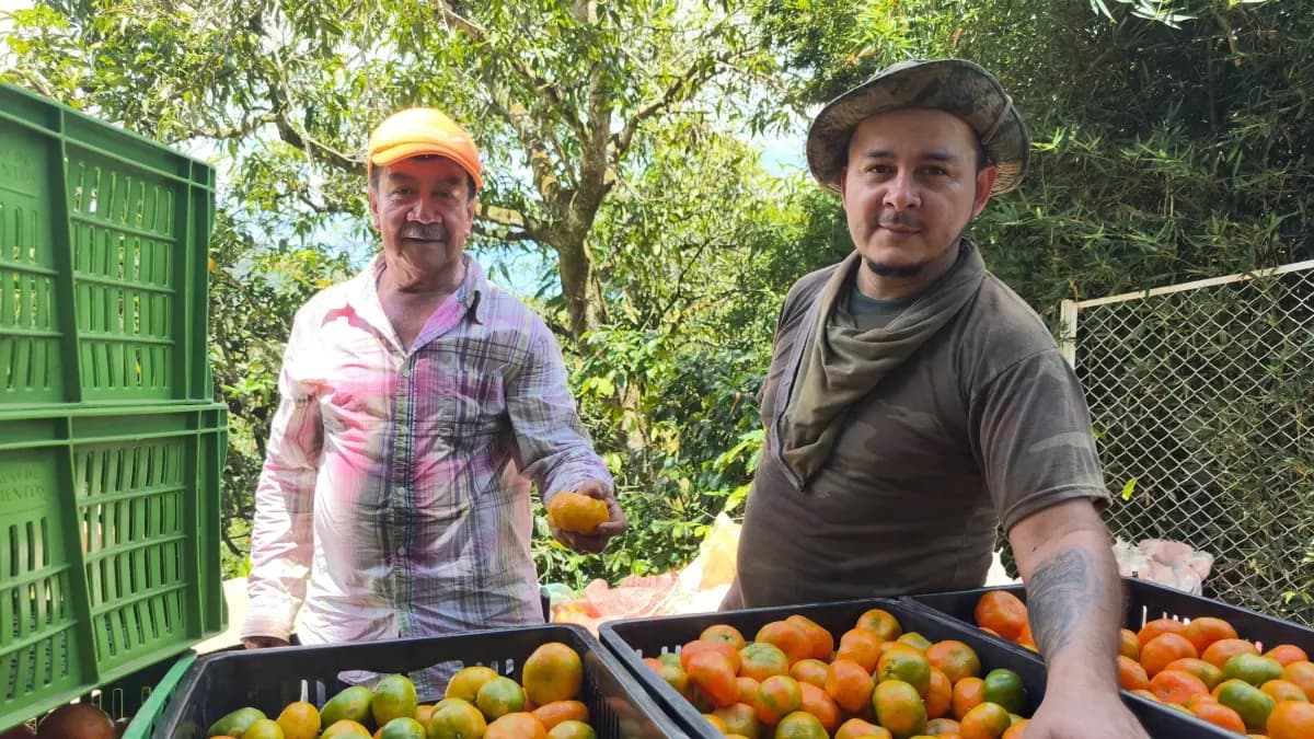 El Banco de Alimentos de Bogotá distribuye 22,7 millones de kilos: así crece la red contra el hambre