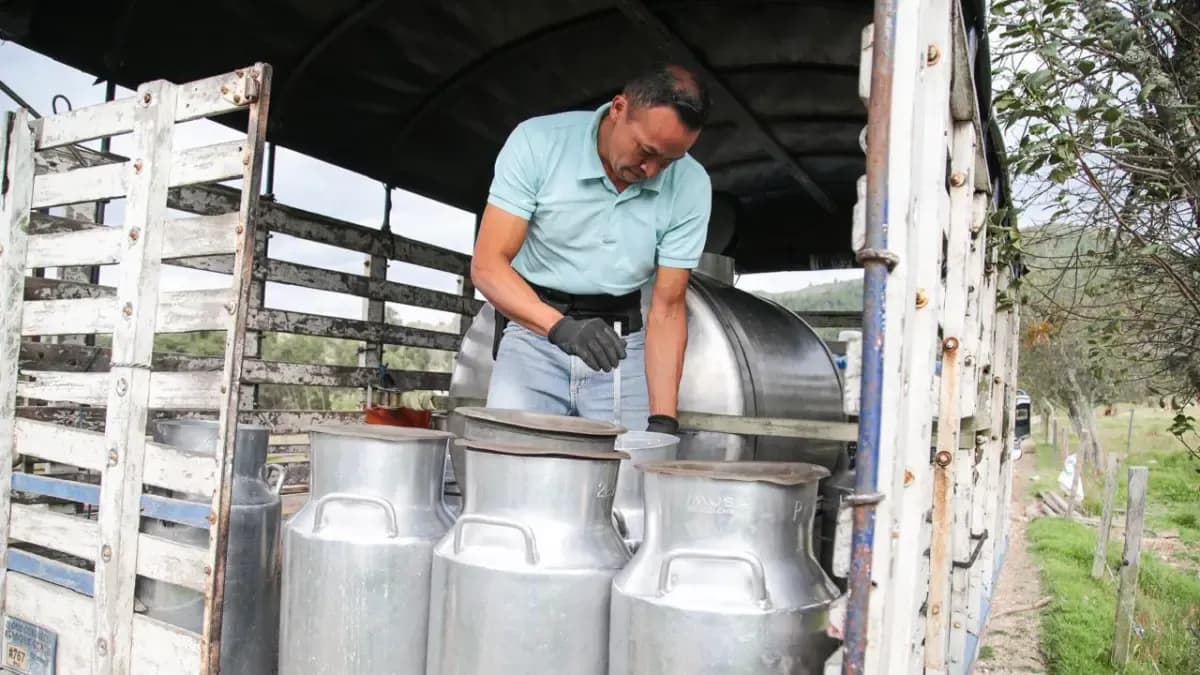 Gobierno corre contra el reloj para colocar 127.000 litros diarios de leche tras salida de Gloria